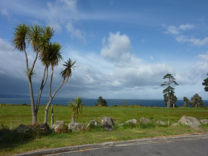 View of Lake Taupo