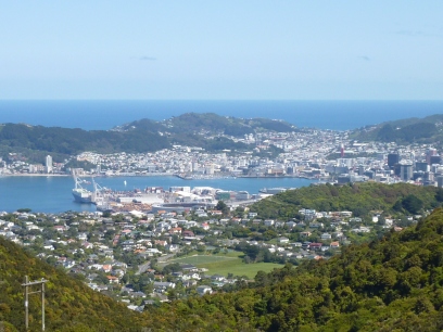 View of Wellington from Mt. Kaukau